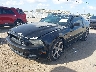 1ZVBP8CF0D5****** Usados y Reparables 2013 Ford Mustang en Tampa