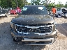 5XYP54GC1RG****** Destrozados 2024 Kia Telluride en Estado de Florida