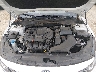 5XXGT4L33KG****** Reparables 2019 Kia Optima en Knoxville