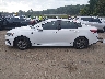 5XXGT4L33KG****** Reparables 2019 Kia Optima en Estado de Tennessee