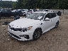 5XXGT4L33KG****** Usados y Reparables 2019 Kia Optima en Knoxville