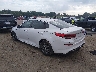 5XXGT4L33KG****** Salvamento y Reparables 2019 Kia Optima en Knoxville