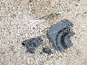 KMHD84LF9LU****** Wrecked 2020 Hyundai Elantra in Indiana State