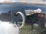 1HD1CT313AC****** Salvage 2010 Harley-Davidson Sportster 1200 Custom in Indiana State