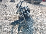 1HD1CT313AC****** Used and Repairable 2010 Harley-Davidson Sportster 1200 Custom in Indiana State