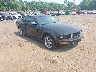 1ZVFT80N275****** Salvamento y Destrozados 2007 Ford Mustang en Sayreville