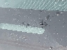 JTERU5JR8N6****** Repairable 2022 Toyota 4Runner