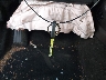 3FA6P0H72GR****** Salvage 2016 Ford Fusion in Georgia State