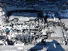 KMHLL4DG1SU****** Reparables 2025 Hyundai Elantra en Long Island