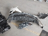 1FAHP2KT5GG****** Wrecked 2016 Ford Taurus in Michigan State