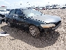 JHMCG5654XC****** Salvamento y Destrozados 1999 Honda Accord en Lafayette