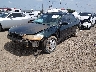 JHMCG5654XC****** Usados y Reparables 1999 Honda Accord en Lafayette