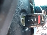 1HGCT1B32DA****** Salvage 2013 Honda Accord in South Dakota State