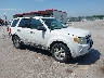 1FMCU0DG4AK****** Salvamento y Destrozados 2010 Ford Escape en Omaha South