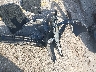 4T1BF1FK6FU****** Destrozados 2015 Toyota Camry en Estado de Florida