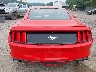1FA6P8TH7F5****** Destrozados 2015 Ford Mustang