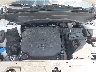 5XYP34HC6LG****** Repairable 2020 Kia Telluride in Knoxville