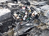 5NPD74LF0LH****** Wrecked 2020 Hyundai Elantra