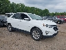 3GNAXUEV3MS****** Salvage and Wrecked 2021 Chevrolet Equinox in Knoxville