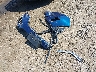 3GNAXUEV3LL****** Wrecked 2020 Chevrolet Equinox in Washington State