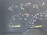 1GCEK19K9RE****** Wrecked 1994 Chevrolet GMT-400