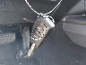 4T1C11AK7LU****** Salvage 2020 Toyota Camry in Louisiana State