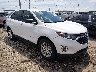 2GNAXHEV8K6****** Salvage and Wrecked 2019 Chevrolet Equinox in Indianapolis