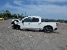 3GCUDHEL2PG****** Repairable 2023 Chevrolet Silverado 1500 in Florida State
