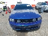 1ZVHT82H055****** Destrozados 2005 Ford Mustang en Estado de Oregón