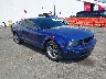1ZVHT82H055****** Salvamento y Destrozados 2005 Ford Mustang en Portland