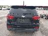 5XYPG4A31KG****** Wrecked 2019 Kia Sorento