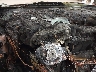 WVGBV3AX0DW****** Salvamento 2013 Volkswagen Tiguan en Portland Gorham