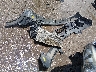 5XYPH4A10HG****** Destrozados 2017 Kia Sorento en Estado de Texas