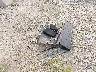 JA4AD3A31GZ****** Destrozados 2016 Mitsubishi Outlander en Estado de Wisconsin