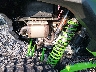 JKARTCF11TB****** Destrozados 2026 Kawasaki Teryx4 en Rec Rides Online Exclusive