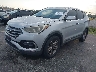 5XYZT3LB0HG****** Usados y Reparables 2017 Hyundai Santa Fe en Miami North