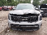 5XYP3DGC2RG****** Destrozados 2024 Kia Telluride en Estado de Ohio
