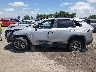 2T3C1RFV7KW****** Reparables 2019 Toyota RAV4 en Estado de Arkansas