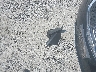 KNAFT4A2XB5****** Wrecked 2011 Kia Forte in Ohio State