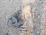 5N1AT2MV7HC****** Wrecked 2017 Nissan Rogue in West Virginia State