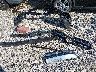 WDCTG4EB5GJ****** Wrecked 2016 Mercedes-Benz GLA-Class in Arkansas State