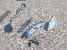 JHLRE48517C****** Wrecked 2007 Honda CR-V in Minnesota State