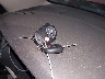 5TFRY5F11AX****** Salvage 2010 Toyota Tundra in Arizona State