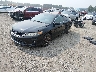 1HGCT2B81DA****** Usados y Reparables 2013 Honda Accord en Elkton