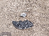 1FMCU9GDXHU****** Destrozados 2017 Ford Escape en Estado de Dakota del Norte