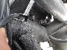 MLHNC5109M5****** Repairable 2021 Honda CBR300R in Rec Rides Online Exclusive