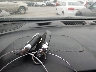 2GNAXJEV9L6****** Salvage 2020 Chevrolet Equinox in Iowa State