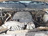 3GTP2WE70CG****** Repairable 2012 GMC Sierra 1500 in San Antonio South