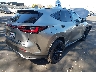 JTJKKCFZ0T2****** Salvage and Wrecked 2026 Lexus NX in California State