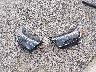 1FMSK8FH4PG****** Wrecked 2023 Ford Explorer in Indiana State